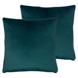 2 pack shot of cushions