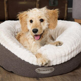 Lifestyle image of pet bed with dog