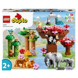 Buy LEGO DUPLO Wild Animals of Asia Box Image at Costco.co.uk