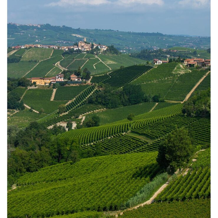 Tenuta Cucco Barolo del Comune di Serralunga d'Alba 2019, 75cl Tenuta Cucco Barolo del Comune di Serralunga d'Alba 2019, 75cl