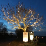 Lights4You 66ft (20m) 120 LED Warm White Outdoor String Lights Lights4You 66ft (20m) 120 LED Warm White Outdoor String Lights