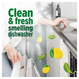 Clean & Fresh Smelling Dishwasher