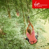 Buy Virgin Experience Tree Top Adventure for Two with Go Ape Image1 at Costco.co.uk