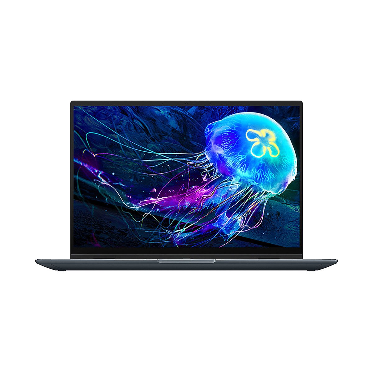 asus zenbook 13 costco