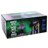 Buy Halloween 10ft Animated Witch Box Image at Costco.co.uk