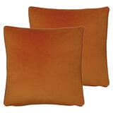 2 pack shot of cushions