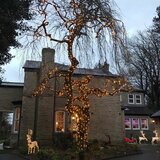 Lights4You 66ft (20m) 120 LED Warm White Outdoor String Lights Lights4You 66ft (20m) 120 LED Warm White Outdoor String Lights