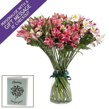 35 Stem Alstroemeria Flower Bouquet with Greetings Card