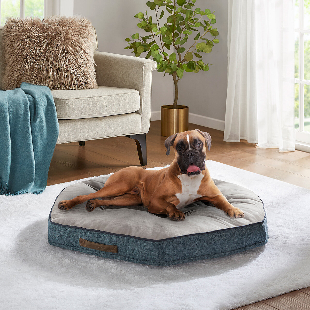 Kirkland Signature Hexagon Napper Pet Bed 42" (106.7cm) in Blue Suede