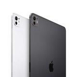 Apple iPad Pro 7th Gen 2024, 13 Inch, Nano-texture Glass WiFi 1TB in Silver, MWRG3NF/A