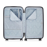 Delsey 2 Piece Hardside Luggage Set in Silver