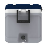 Igloo Maxcold 70qt Cooler