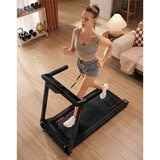 Kingsmith WalkingPad Pro Folding Treadmill