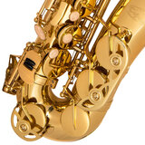 Close up of saxophone