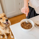 Raaw Natural Dog Food and Dog