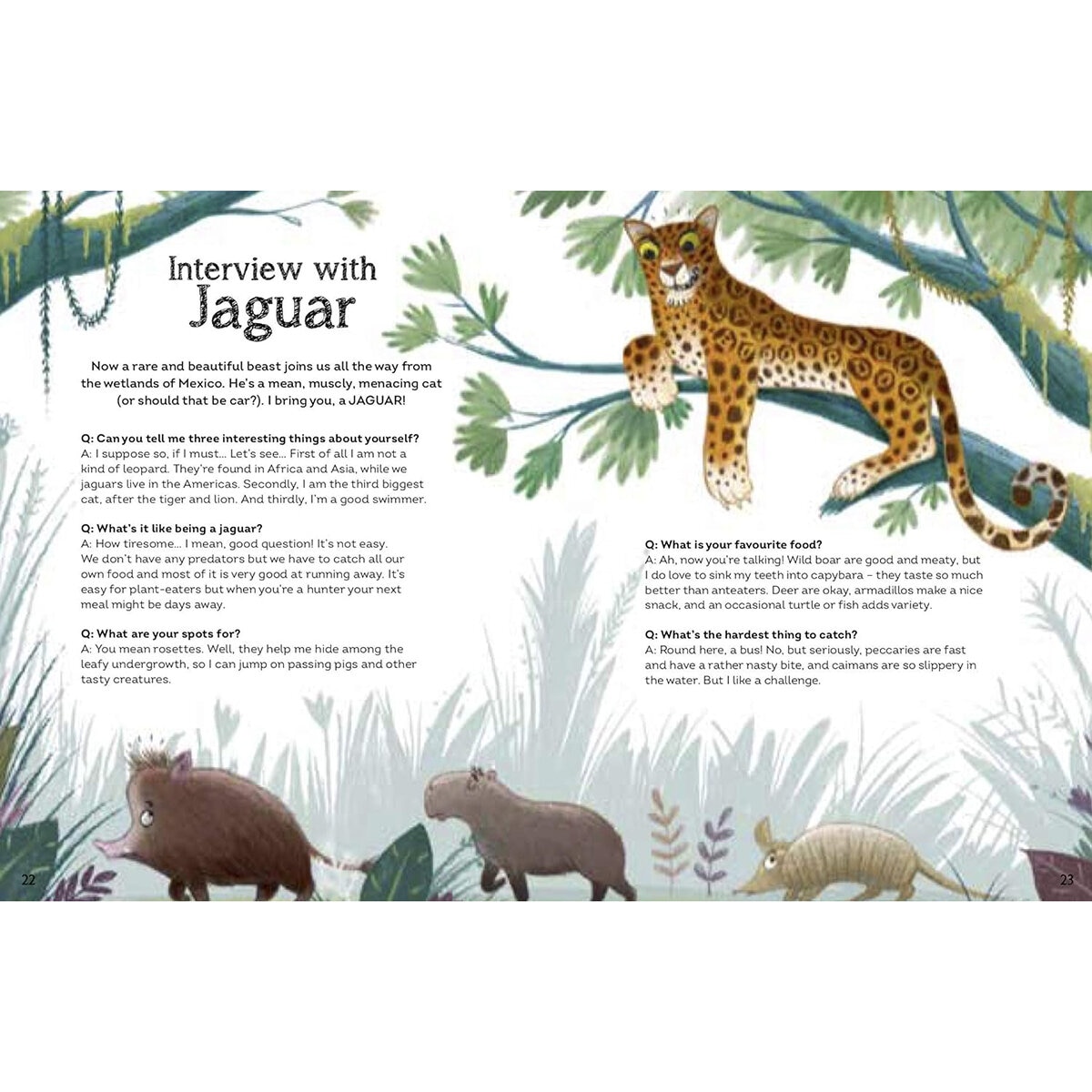 Interview with the Animals by Andy Seed in 2 Options: The Tiger & Shark or The Kangaroo & Panda