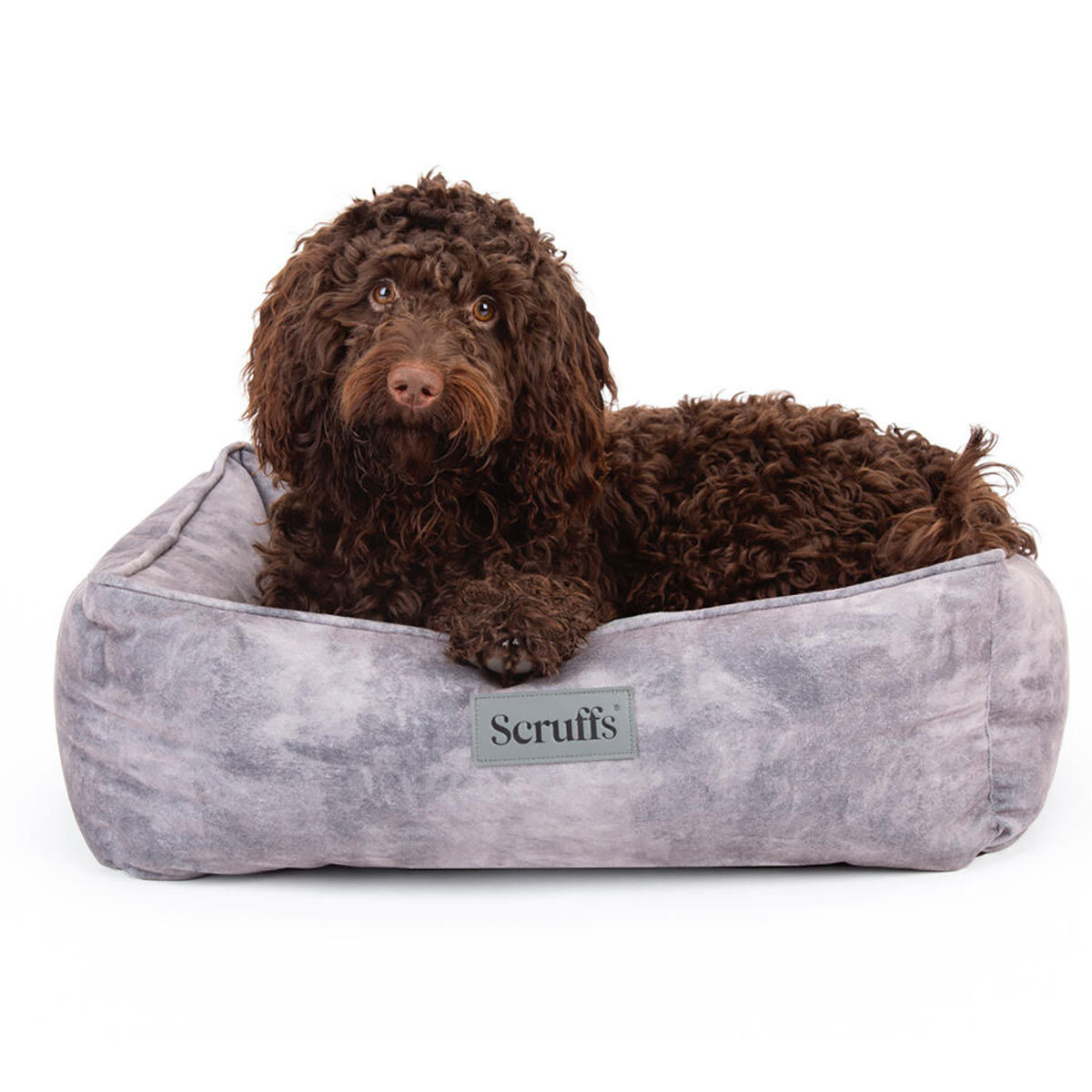 Brown Dog on Grey Pet Bed