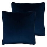 2 pack shot of cushions