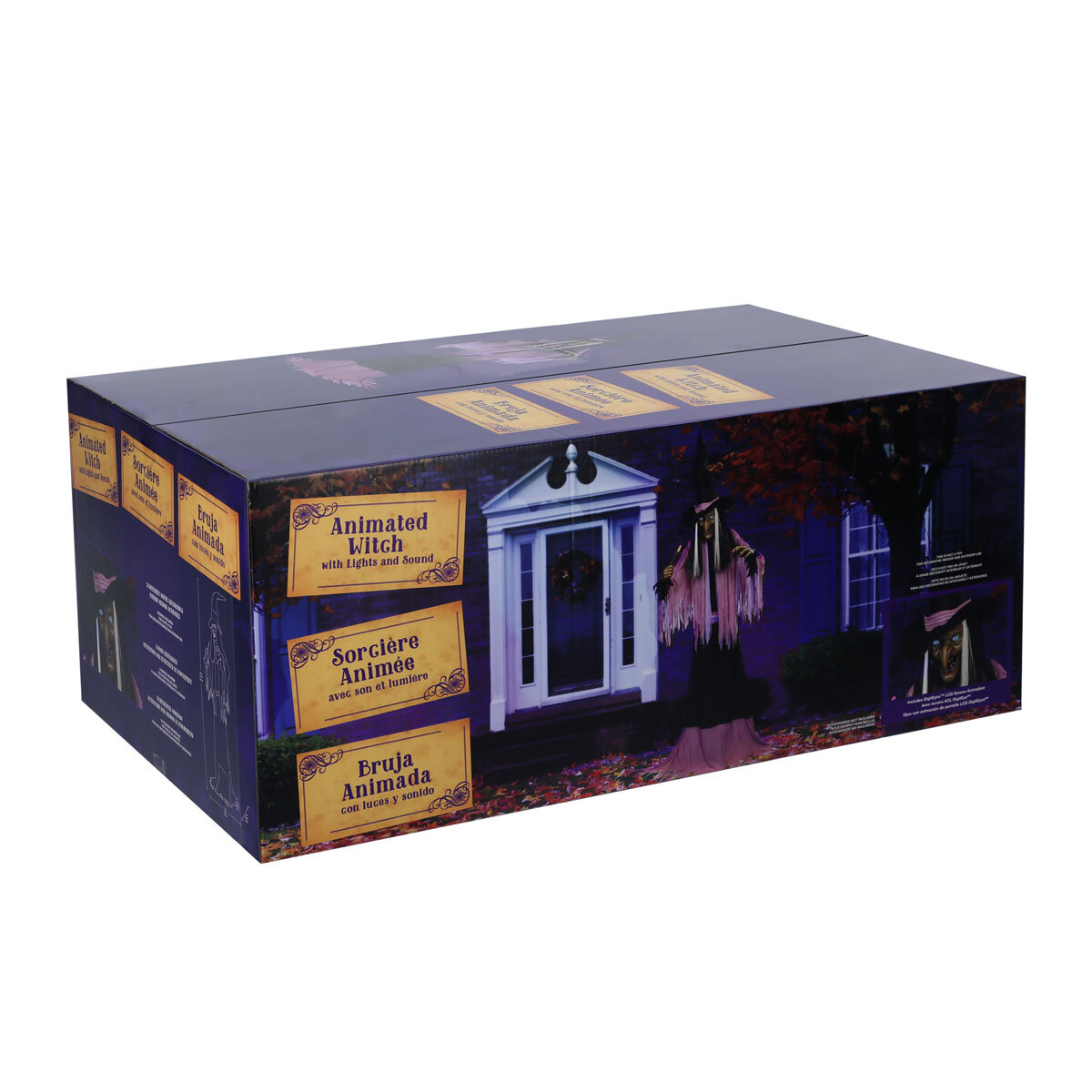 Buy 10ft Animated Witch Box Image at Costco.co.uk