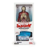 Buy Squishy Human Body Box2 Image at Costco.co.uk