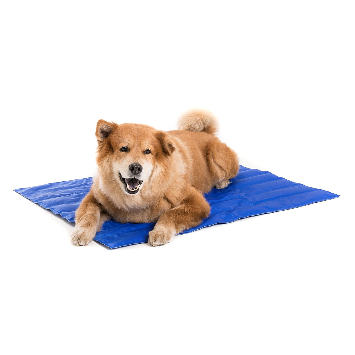 cooling mat for a dog
