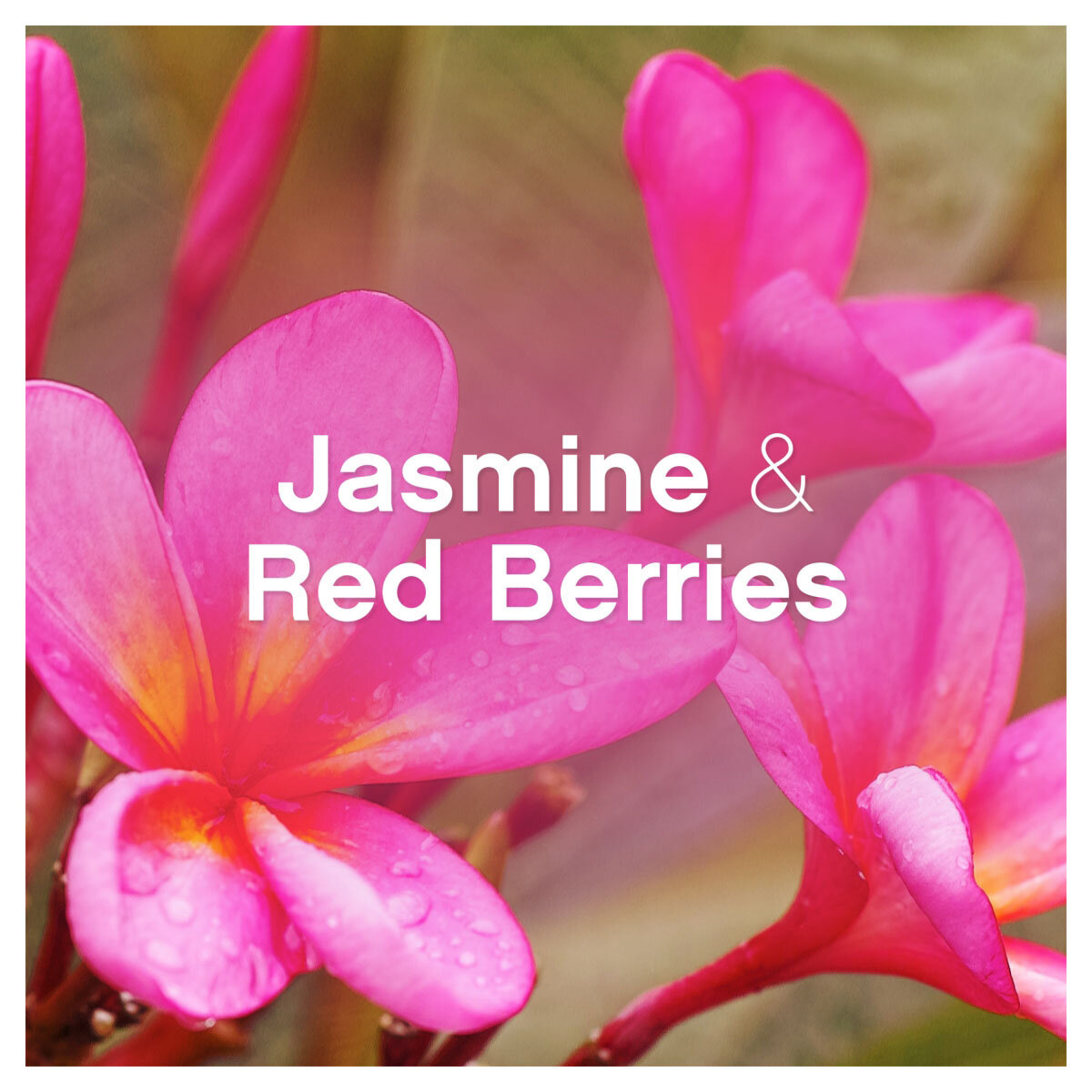 Jasmine & Red Berries Scent