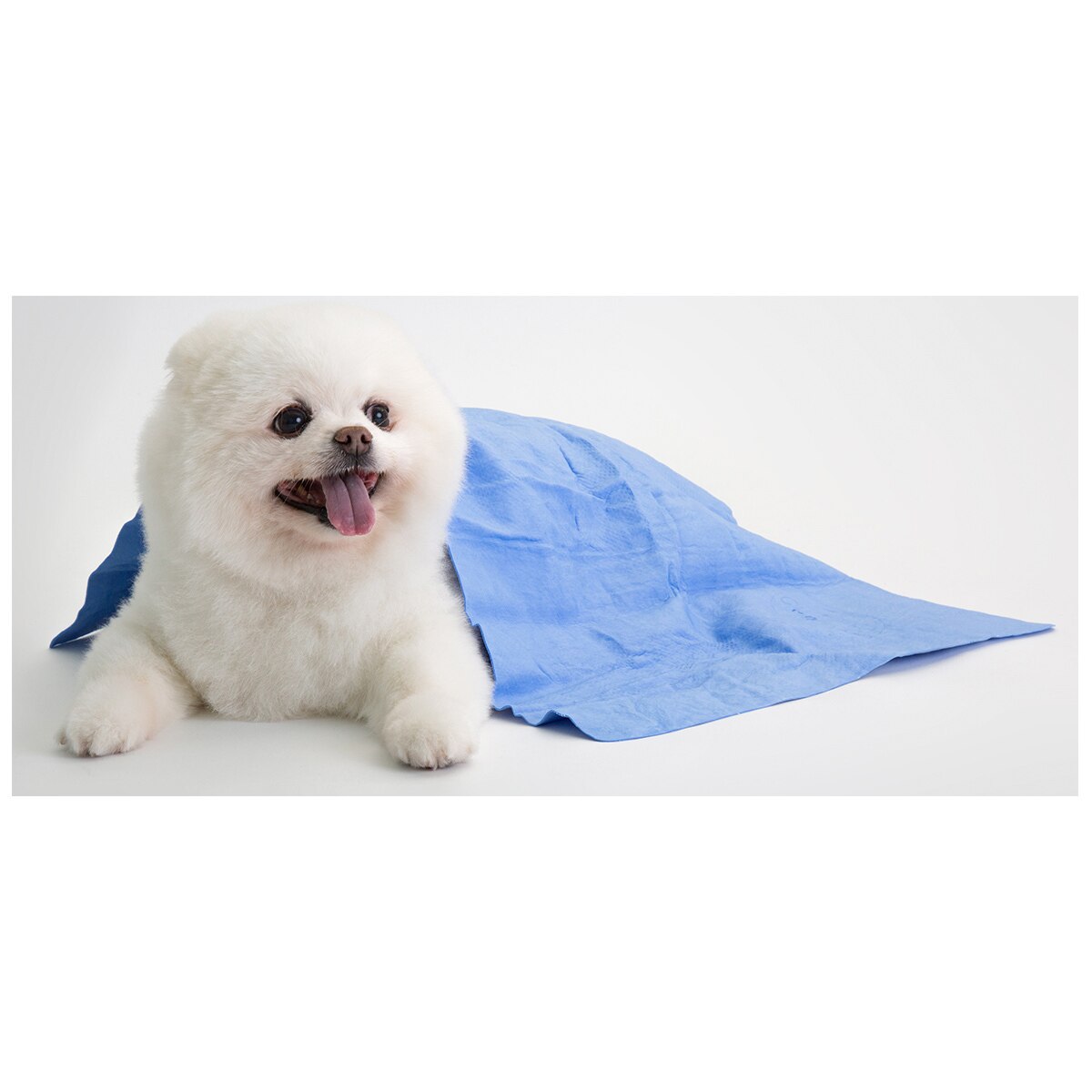 costco pet cooling mat