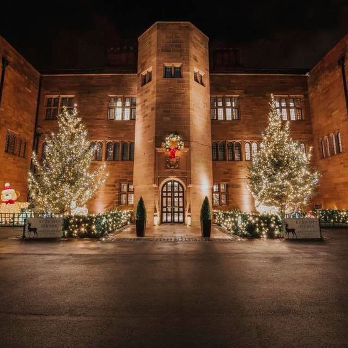 Lights4You 66ft (20m) 120 LED Warm White Outdoor String Lights Lights4You 66ft (20m) 120 LED Warm White Outdoor String Lights