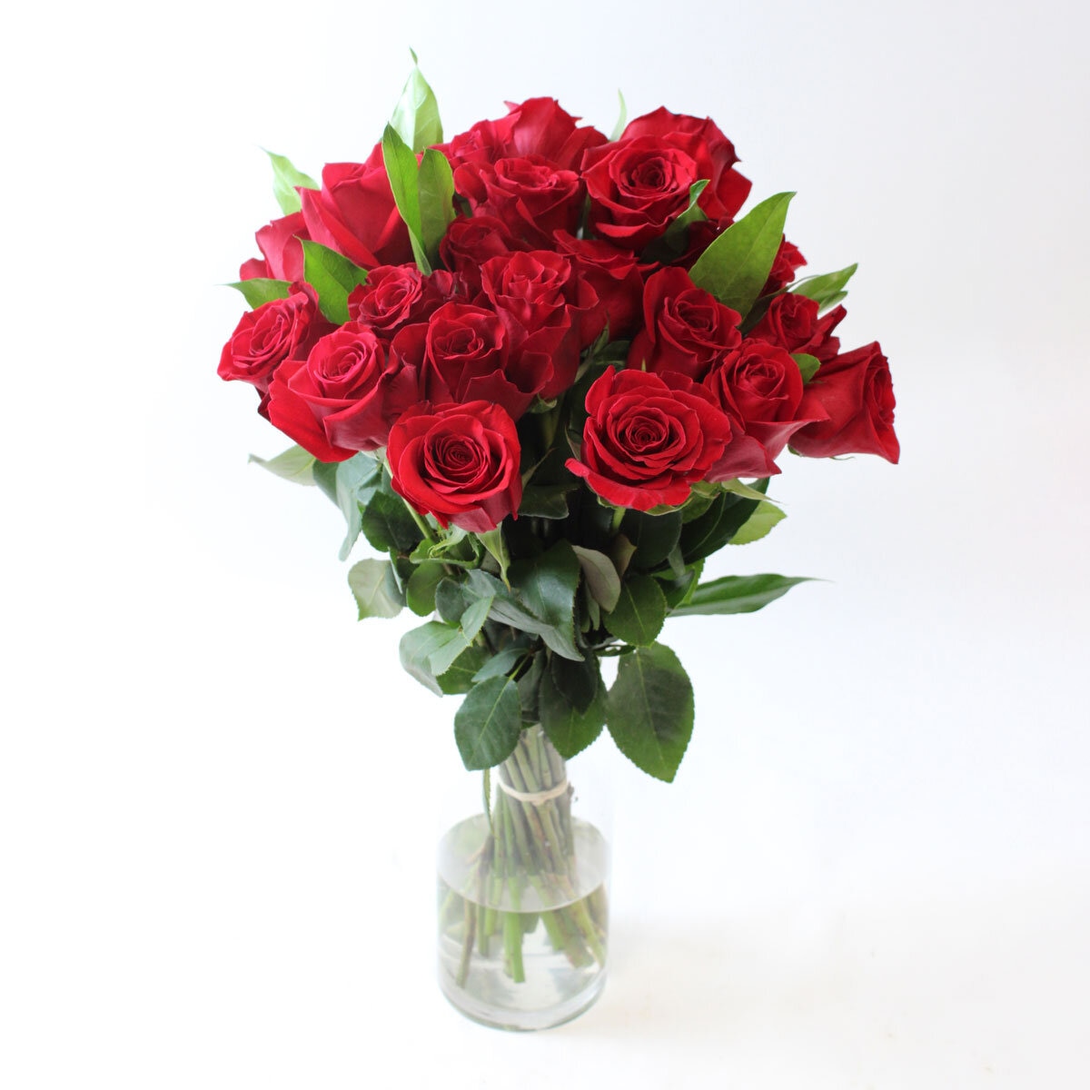 Valentine's 28 Stem Two Dozen Colombian Freedom Red Roses & Cocculus Bouquet with Greetings Card