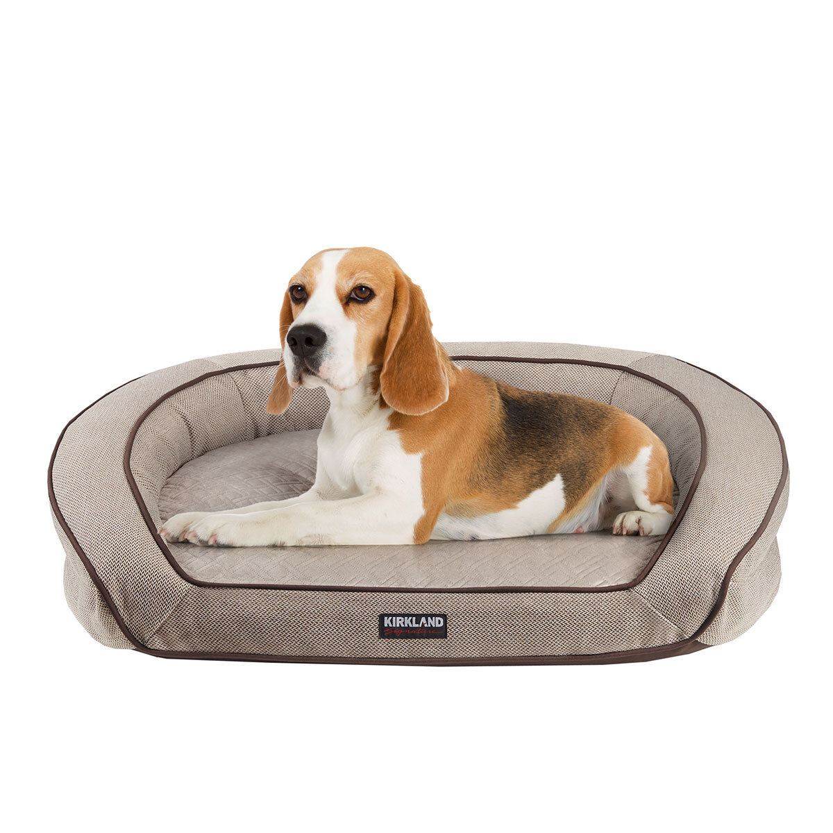 Image of dog bed with dog