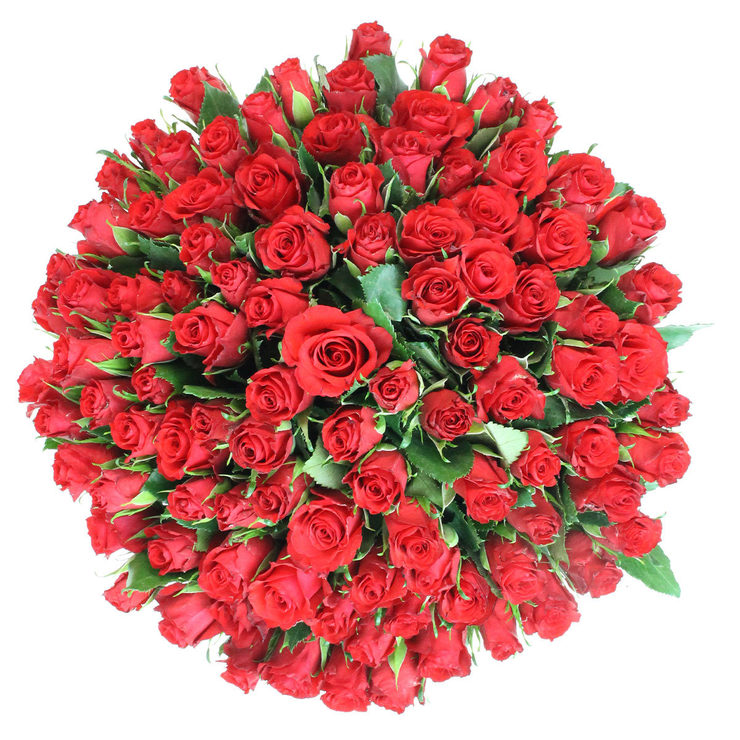 Valentines 100 Stem Kenyan Red Calypso Roses Flower Bouquet | Costco UK